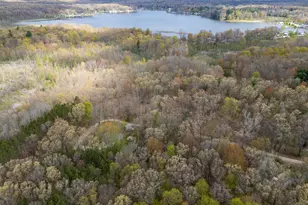22475 Wildflower Dr, Pierson, MI 49339 - Photo 39