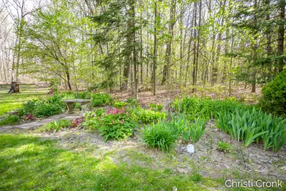 22475 Wildflower Drive, Pierson, MI 49339 - Photo 11