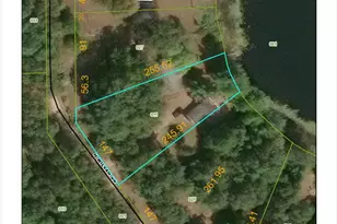 10838 N Wilvan Dr, Bitely, MI 49309 - Photo 59