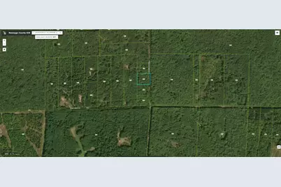 Willow Avenue N, Bitely, MI 49309 - Photo 3