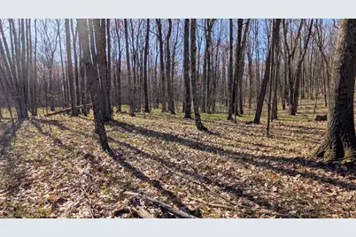 Willow Avenue N, Bitely, MI 49309 - Photo 1
