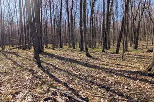 Willow Ave N, Bitely, MI 49309 - Photo 1