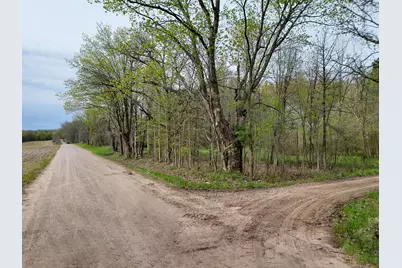 V/L Biggs Avenue NE, Lowell, MI 49331 - Photo 1