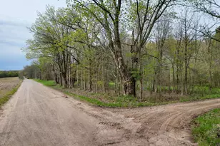 V/L Biggs Ave NE, Lowell, MI 49331 - Photo 1