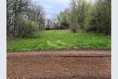 V/L Biggs Avenue NE, Lowell, MI 49331 - Photo 13
