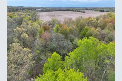 V/L Biggs Avenue NE, Lowell, MI 49331 - Photo 5