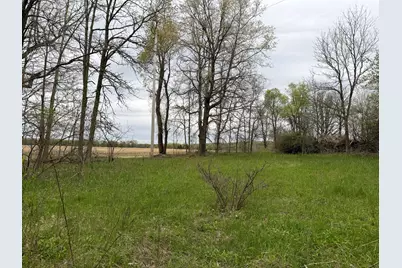V/L Biggs Avenue NE, Lowell, MI 49331 - Photo 15