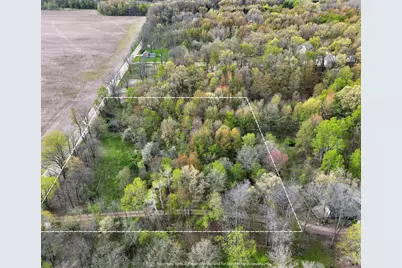 V/L Biggs Avenue NE, Lowell, MI 49331 - Photo 3