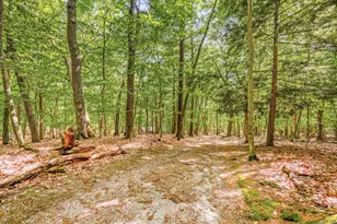 5717 W Pleasant Hill Rd, Free Soil, MI 49411 - Photo 11