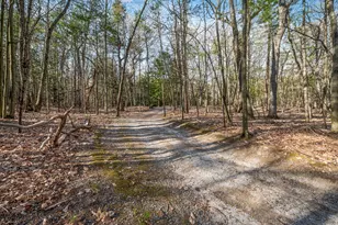 5717 W Pleasant Hill Rd, Free Soil, MI 49411 - Photo 87