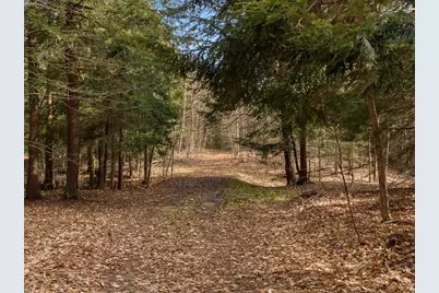 00 Benzie Highway, Benzonia, MI 49616 - Photo 3