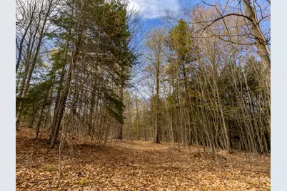 00 Benzie Highway, Benzonia, MI 49616 - Photo 5