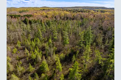 00 Benzie Highway, Benzonia, MI 49616 - Photo 11