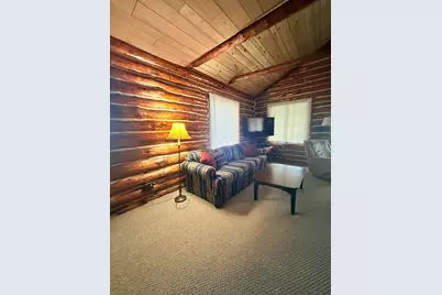 11272 S L Lakes Bridge Street, Baldwin, MI 49304 - Photo 33
