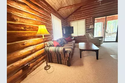 11272 S L Lakes Bridge Street, Baldwin, MI 49304 - Photo 29