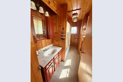 11272 S L Lakes Bridge Street, Baldwin, MI 49304 - Photo 37