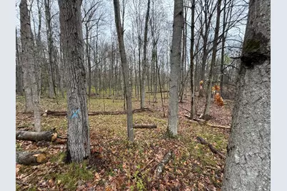 8196 Pine Tree Trail, Stanwood, MI 49346 - Photo 3