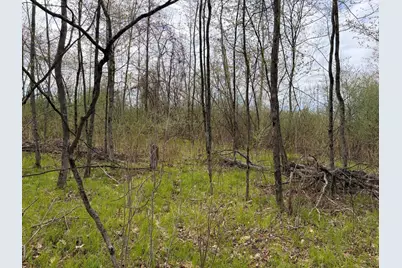 E Jackson Street, White Cloud, MI 49349 - Photo 19