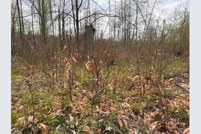 E Jackson Street, White Cloud, MI 49349 - Photo 29