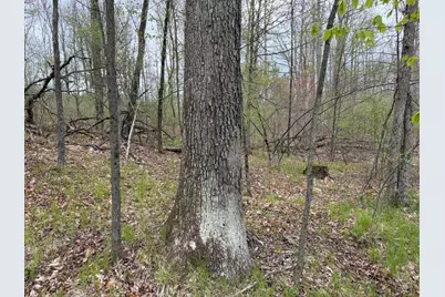 E Jackson Street, White Cloud, MI 49349 - Photo 55
