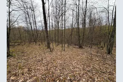 E Jackson Street, White Cloud, MI 49349 - Photo 53