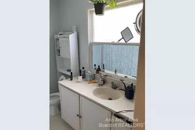 3329 Cardinal Avenue, Ann Arbor, MI 48108 - Photo 21