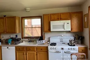 3329 Cardinal Ave, Ann Arbor, MI 48108 - Photo 3