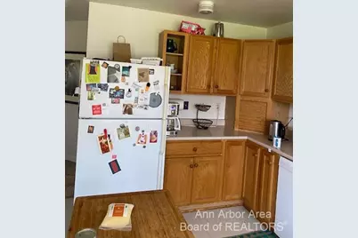 3329 Cardinal Avenue, Ann Arbor, MI 48108 - Photo 17