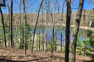 9223 S Trail Of The Lakes, Baldwin, MI 49304 - Photo 31