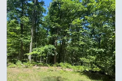 9826 S Orchid Avenue, Baldwin, MI 49304 - Photo 37