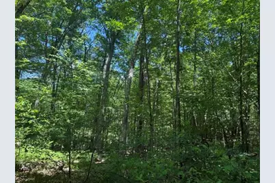 9826 S Orchid Avenue, Baldwin, MI 49304 - Photo 39