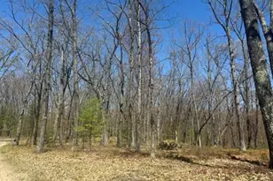 9826 S Orchid Ave, Baldwin, MI 49304 - Photo 41