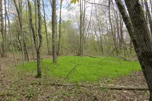 6800 170th Ave, Stanwood, MI 49346 - Photo 41