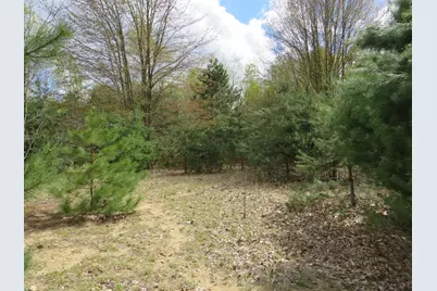 6800 170th Avenue, Stanwood, MI 49346 - Photo 49