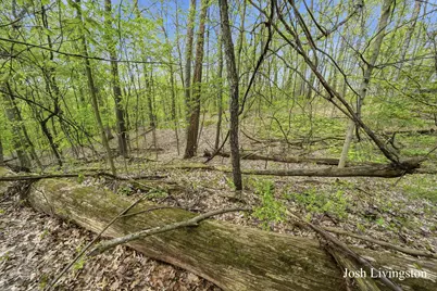 1551 Sargent Avenue SE, Ada, MI 49301 - Photo 55