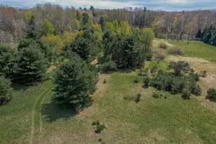 3461 E Bradshaw Rd, Custer, MI 49405 - Photo 7