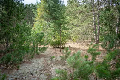 Hudson Road SW, South Boardman, MI 49680 - Photo 31
