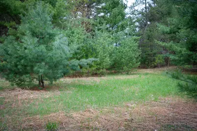Hudson Road SW, South Boardman, MI 49680 - Photo 19