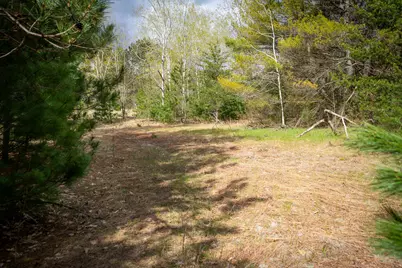 Hudson Road SW, South Boardman, MI 49680 - Photo 27