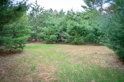 Hudson Road SW, South Boardman, MI 49680 - Photo 21