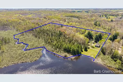 210 S Shore Drive, Edmore, MI 48829 - Photo 43