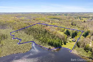 210 S Shore Dr, Edmore, MI 48829 - Photo 43