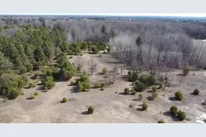 Vl 5 Acres 9 Mile Road, Kaleva, MI 49645 - Photo 15