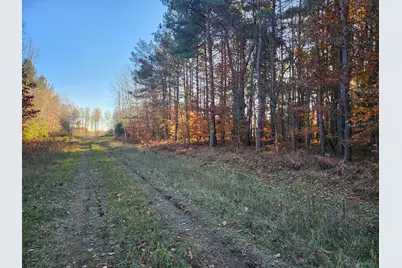 Vl 5 Acres 9 Mile Road, Kaleva, MI 49645 - Photo 3