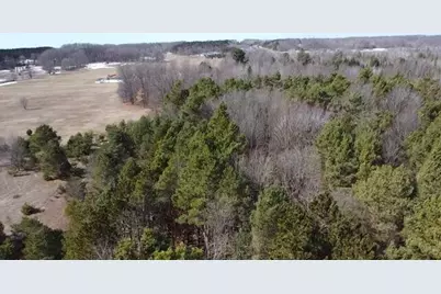 Vl 5 Acres 9 Mile Road, Kaleva, MI 49645 - Photo 23