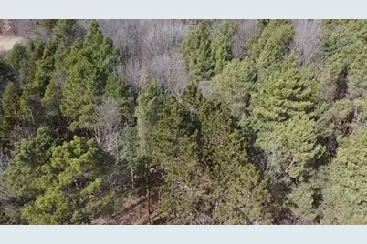 Vl 5 Acres 9 Mile Road, Kaleva, MI 49645 - Photo 17