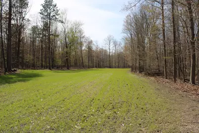 2954 N Carter Road, Pinconning, MI 48650 - Photo 67