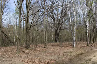 2954 N Carter Road, Pinconning, MI 48650 - Photo 63