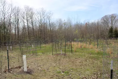 2954 N Carter Road, Pinconning, MI 48650 - Photo 75