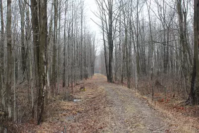 2954 N Carter Road, Pinconning, MI 48650 - Photo 61